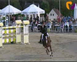 jumper Rapide Viando SFN (KWPN (Royal Dutch Sporthorse), 2002, from Heartbreaker)