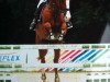 broodmare Serafina (Oldenburg, 2000, from Silvio I)