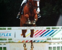 broodmare Serafina (Oldenburg, 2000, from Silvio I)