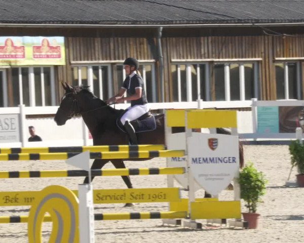 Reitturnier Memmingen/Schw. 2022