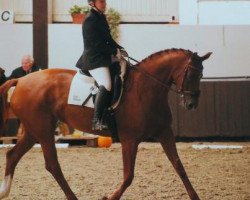 dressage horse Wolken Hit's Portofina (Oldenburg, 2004, from Wolken-Hit)