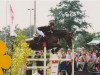 broodmare Remember-Poco-L (Westphalian, 1997, from Rombach)