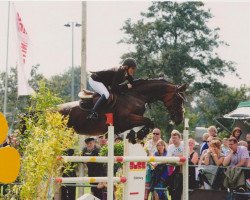 Zuchtstute Remember-Poco-L (Westfale, 1997, von Rombach)