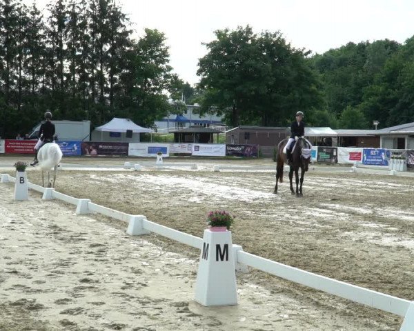 Reitturnier Bad Marienberg - OT Nisterau 2022