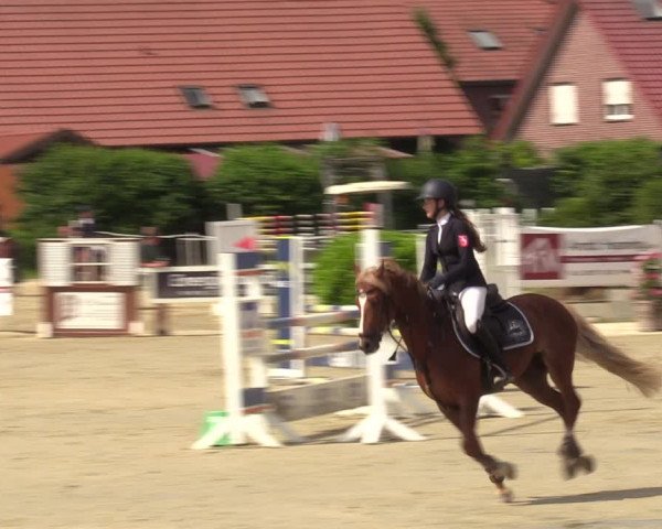 Reitturnier Ascheberg 2022