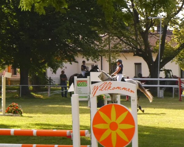 Reitturnier Schwittersdorf-Beesenstedt 2022