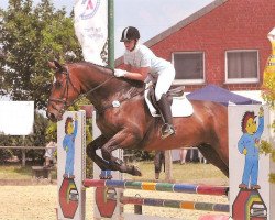 dressage horse Wilson 66 (Hanoverian, 2000)