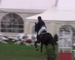 Springpferd Fordalme G (Hannoveraner, 2006, von Forrester)