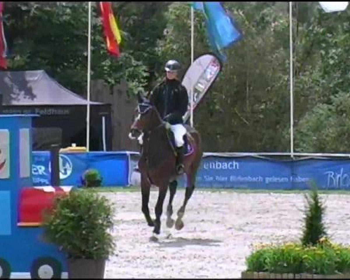 jumper Clarkson 4 (Holsteiner, 2007, from Canto)