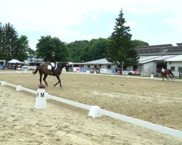 Reitturnier Bad Marienberg - OT Nisterau 2022