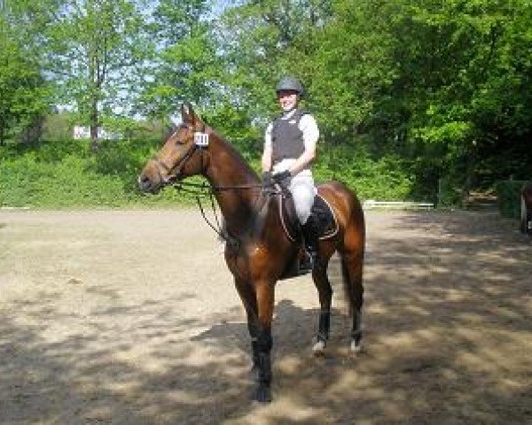 eventing horse Rufus Rabenschlau (Oldenburg, 2005, from Royaldik)