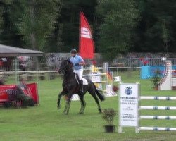 stallion Loxely M (Hanoverian, 2004, from Landclassic)