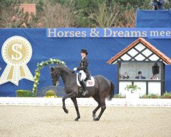 dressage horse Dance On OLD (Oldenburg, 2002, from Dream of Heidelberg I)