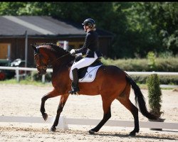 dressage horse F³rst Zeppelin (KWPN (Royal Dutch Sporthorse), 2016, from Fürsten-Look)