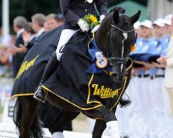 dressage horse Desperado 171 (Oldenburg, 2003, from Dressage Royal)