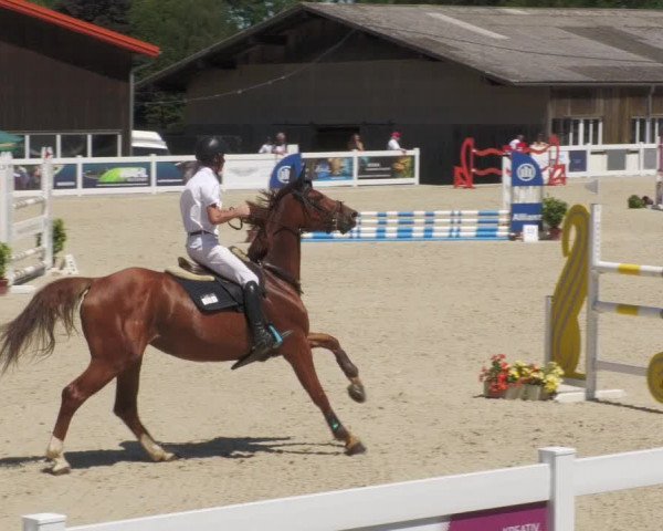 Reitturnier Memmingen/Schw. 2022