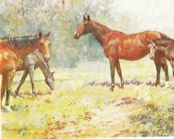 broodmare Cross Battery xx (Thoroughbred, 1902, from Stepniak xx)