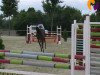 jumper Ecl Ramera (German Sport Horse, 2007, from Chateau de Brion Quainton)