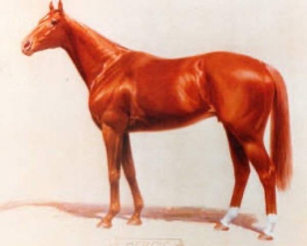 stallion Heroic xx (Thoroughbred, 1921, from Valais xx)