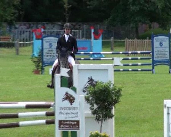 jumper Schimanski 25 (Hanoverian, 2008, from Salito)