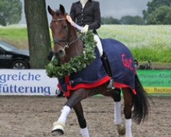 dressage horse Dos Santos 2 (Westphalian, 2005, from Don Bedo I)