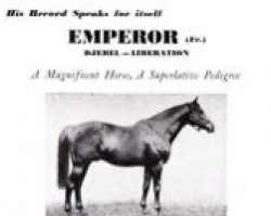 stallion Emperor xx (Thoroughbred, 1947, from Djebel xx)