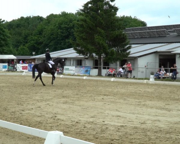 Reitturnier Bad Marienberg - OT Nisterau 2022