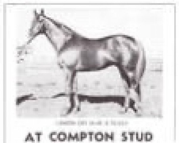 stallion London Cry xx (Thoroughbred, 1954, from Pardal xx)