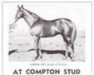 stallion London Cry xx (Thoroughbred, 1954, from Pardal xx)