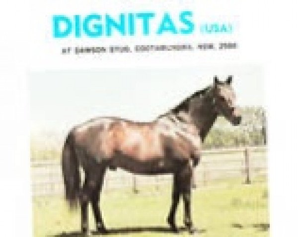 stallion Dignitas xx (Thoroughbred, 1965, from Round Table xx)