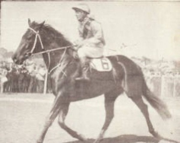 broodmare Winged Beauty xx (Thoroughbred, 1962, from Port Vista xx)