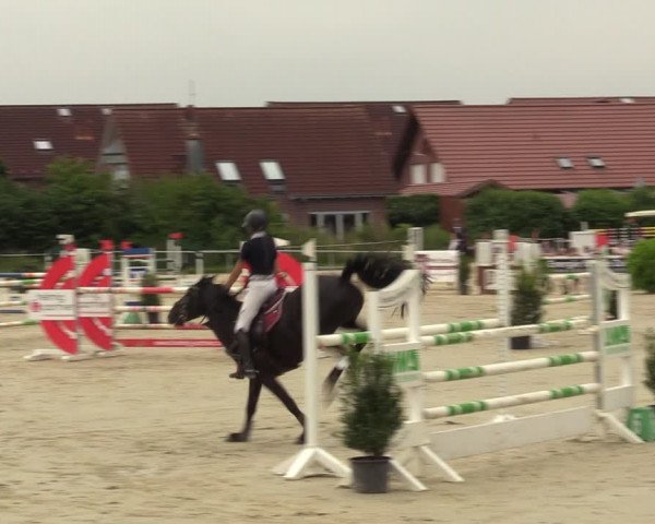 Reitturnier Ascheberg 2022