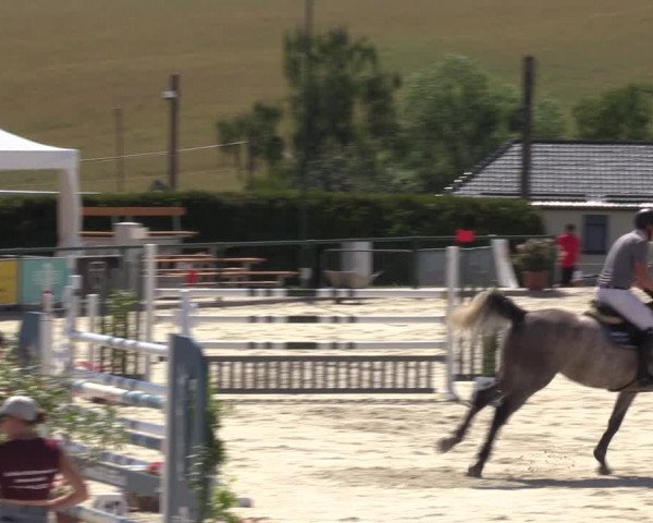 Reitturnier Immenrode 2022