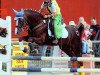stallion Traumprinz (German Riding Pony, 1995, from Troll)