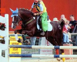 Deckhengst Traumprinz (Deutsches Reitpony, 1995, von Troll)