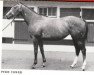 broodmare Pixie Tower xx (Thoroughbred, 1970, from Songedor xx)