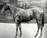 stallion Maharaj Kumar xx (Thoroughbred, 1943, from Stardust xx)