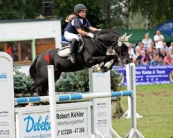 Deckhengst Black Horse 2 (Welsh Pony (Sek.B), 1992, von Brakenhoeve's Emiel)