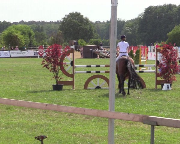 Reitturnier Schillerslage 2022