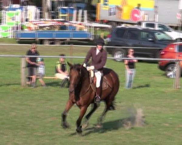 jumper Lilifee 2 (German Sport Horse, 2003, from Lafitte)