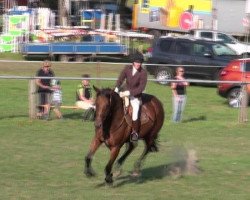 jumper Lilifee 2 (German Sport Horse, 2003, from Lafitte)