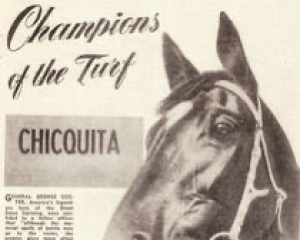 broodmare Chicquita xx (Thoroughbred, 1946, from Blank xx)