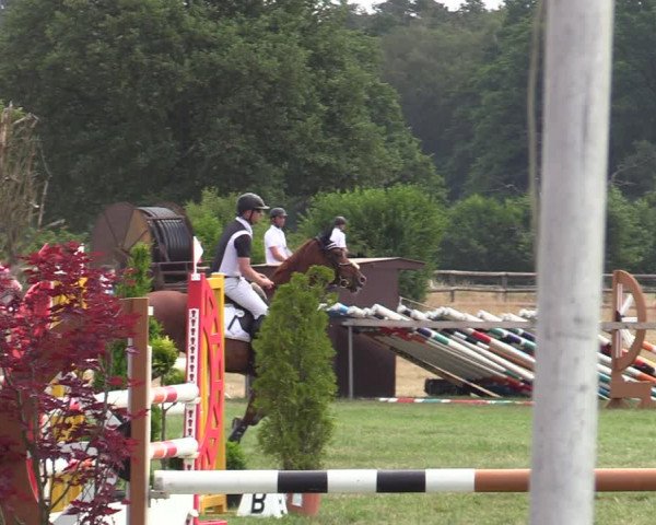 Reitturnier Schillerslage 2022