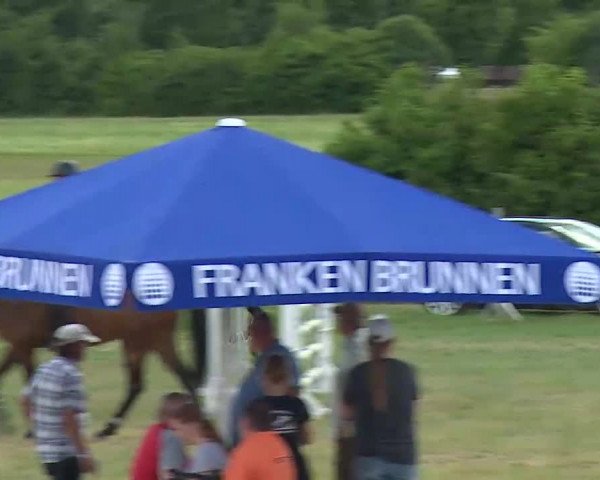 Reitturnier Bad Windsheim/Mfr. 2022