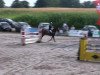 jumper Zoe 56 (KWPN (Royal Dutch Sporthorse), 2004, from Namelus R)