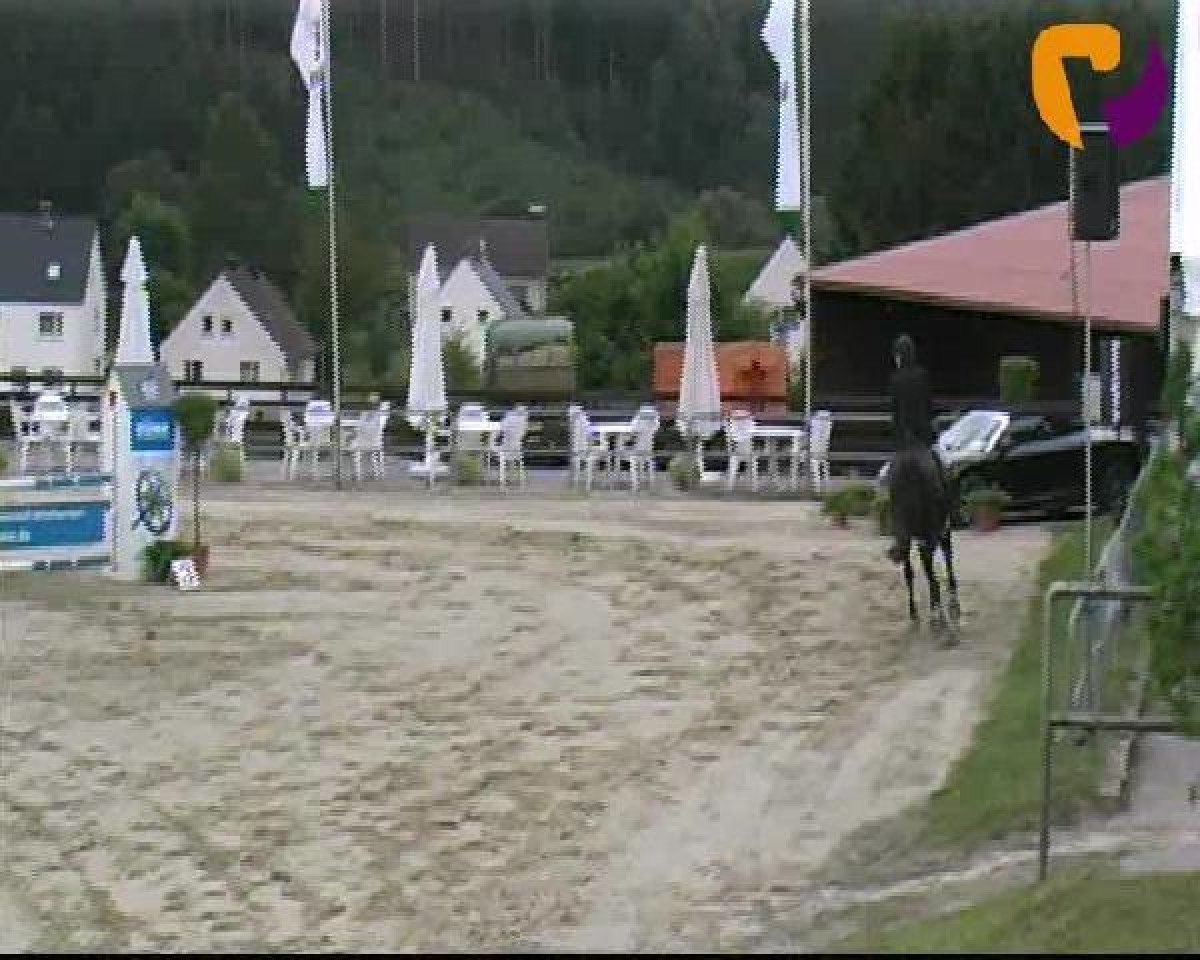 jumper Qaramba 3 (German Warmblood, 2007, from Quidam's Rubin)