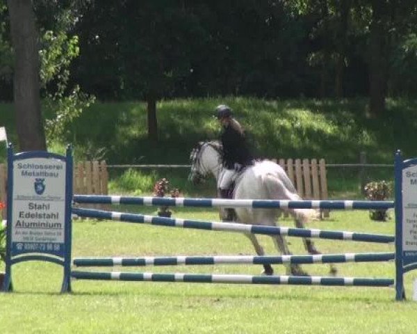 broodmare Guantana (Oldenburg show jumper, 2005, from Acadius)