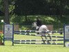 broodmare Guantana (Oldenburg show jumper, 2005, from Acadius)