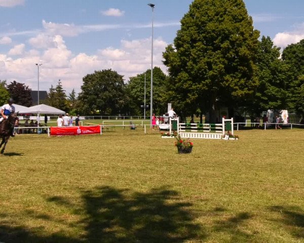 Reitturnier Schwittersdorf-Beesenstedt 2022