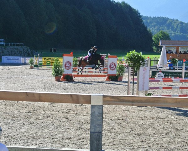 jumper Chiara El Escada (Austrian Reitpony, 2002)